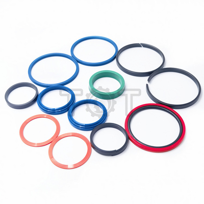 hydraulische Kit For Efficient Steering Cylinder-Reparatur der Dichtungs-2152023 215-2023
